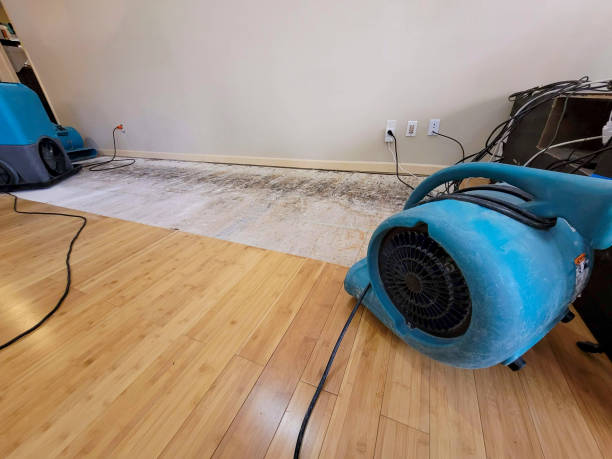 Professional Burst Pipe Water Damage technician working in Plymouth, MI